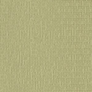 96-50848 Lime