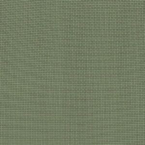Pale_Eucalypt