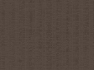 Soltis 92_2043_BRONZE