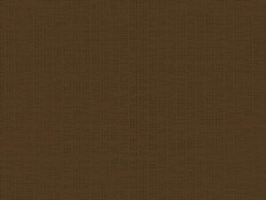 Soltis 92_2148_COCOA