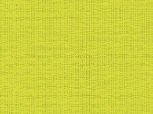 Soltis 92_2157_ANISEED