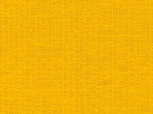 Soltis 92_2166_BUTTERCUP
