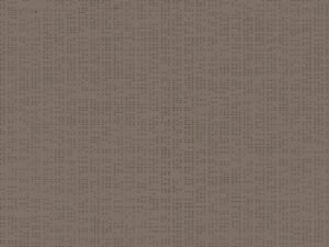 Soltis 92_50266_HAVANA-BROWN