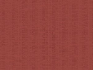 Soltis 92_50267_COTTO